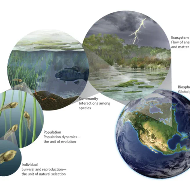 Measuring 'nature': between biology and social sciences