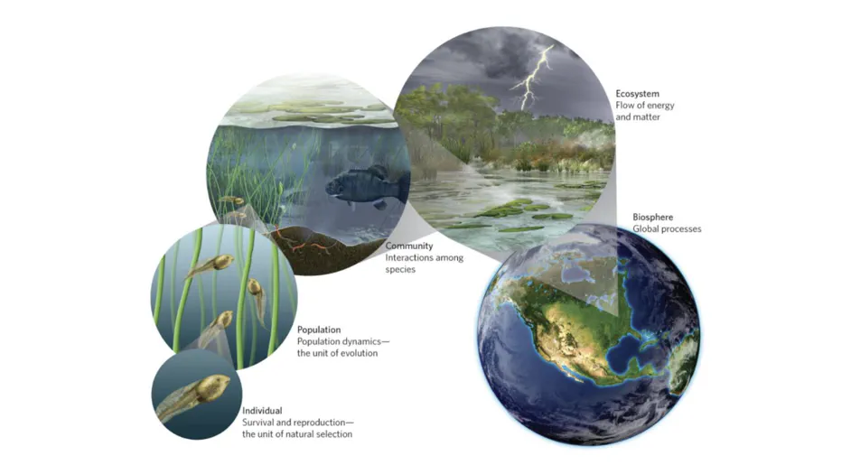 Measuring 'nature': between biology and social sciences